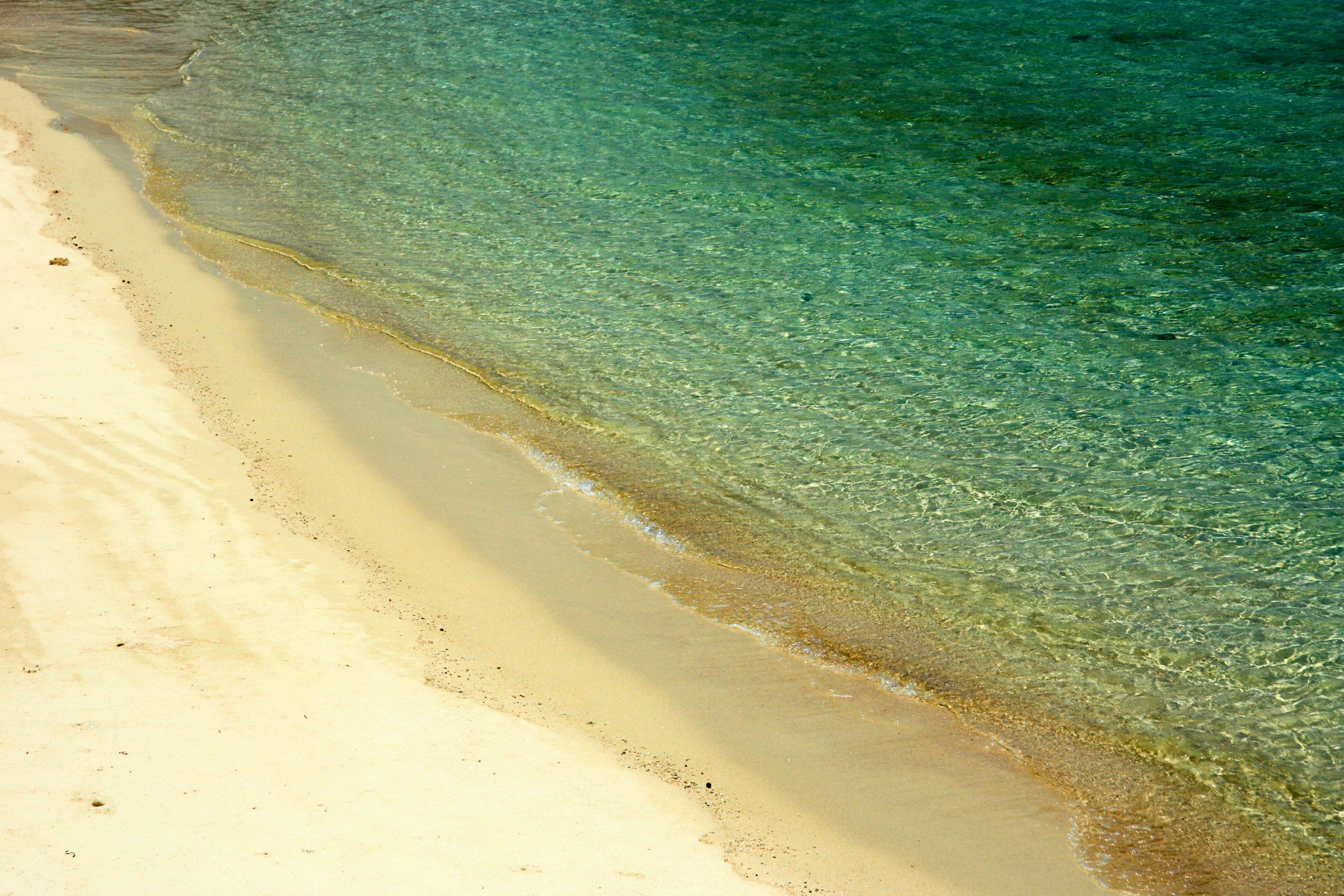 iriomote island (4).webp